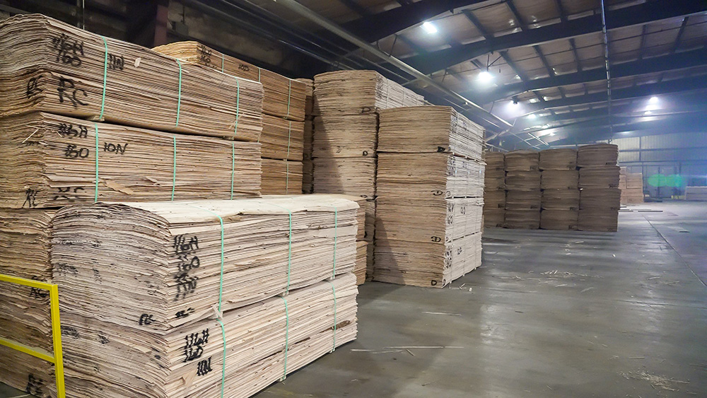 Stacks of veneer sheets in a warehouse ready for a plywood mill