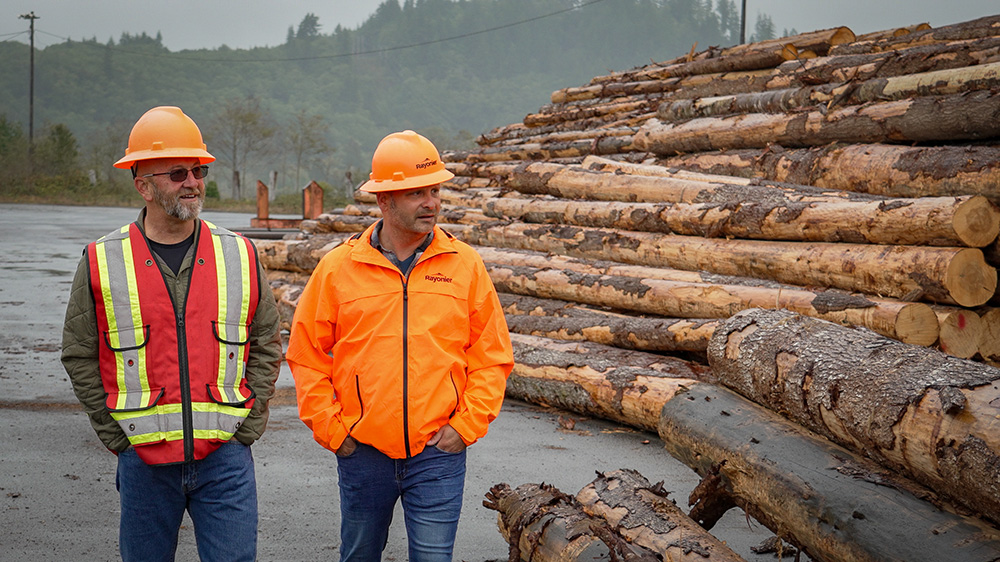 Men standing next to logs that will be turned into plywood