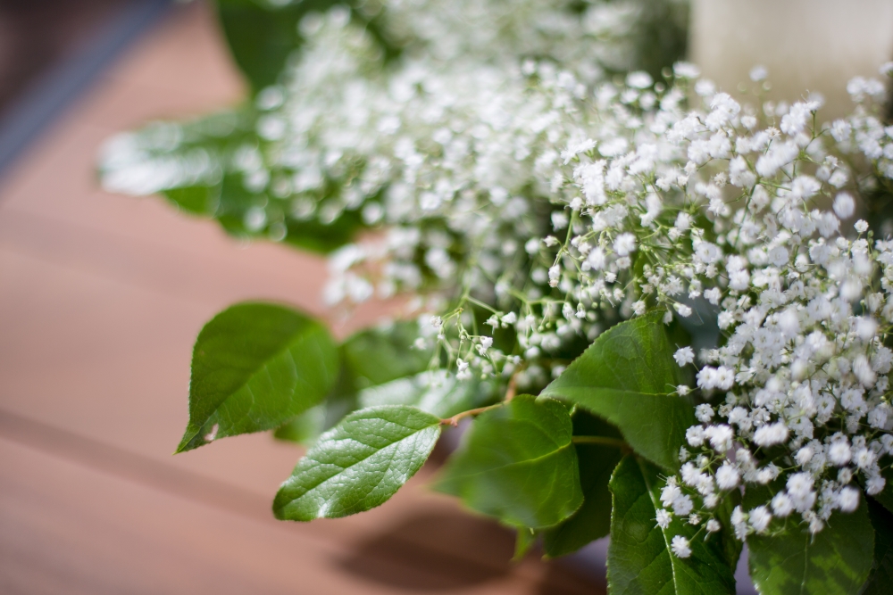Baby breath and salal bouquet