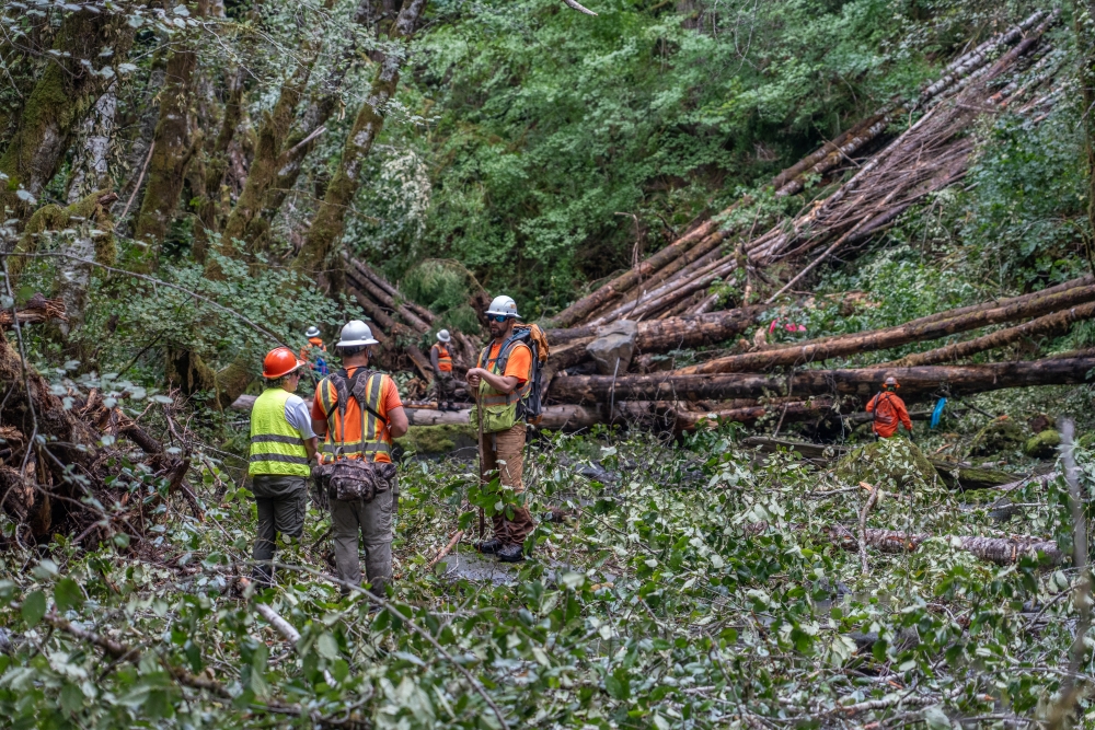 Workers in high visibility vests and hard hats talk and work around stacks of felled trees.