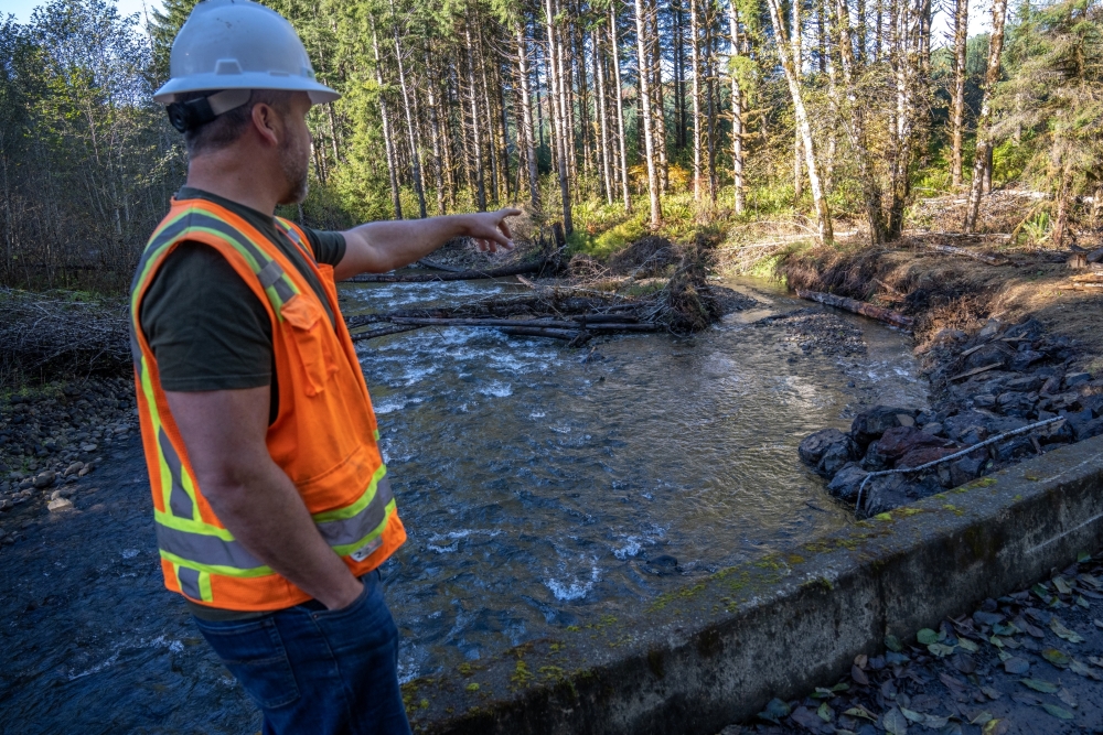 Cowlitz Indian Tribe Restores Fish Habitat in the Grays River Watershed with Thousands of Trees